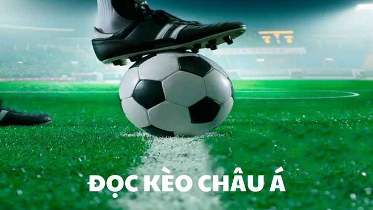 Cách Chơi Kèo Châu Á Hiệu Quả Và Chuẩn Xác Cho Người Mới Bắt Đầu