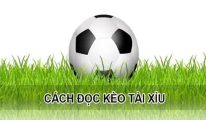 Cách Chơi Kèo Tài Xỉu Hiệp 1 Chuẩn Xác Cho Người Mới Tham Gia Cá Cược