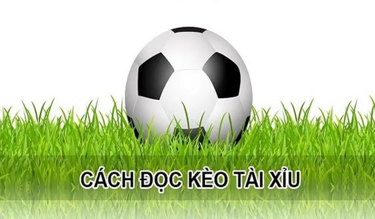 Cách Chơi Kèo Tài Xỉu Hiệp 1 Chuẩn Xác Cho Người Mới Tham Gia Cá Cược