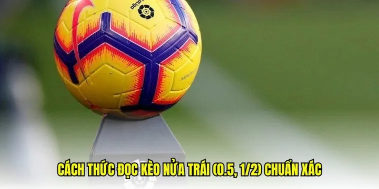 Cách Chơi Kèo Chấp 0.5 Chuẩn Xác Cho Người Mới Và Dân Cá Cược Lâu Năm