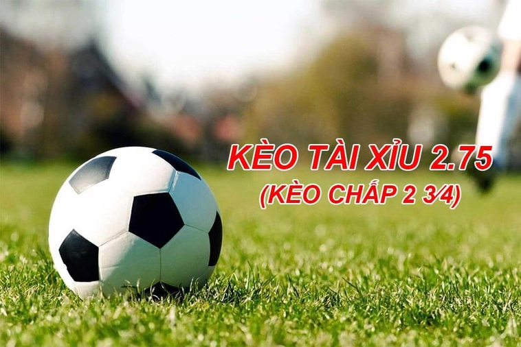 Cách Chơi Kèo 2.75 Hiệu Quả Và Phân Tích Tỷ Lệ Chuẩn Xác Trong Bóng Đá