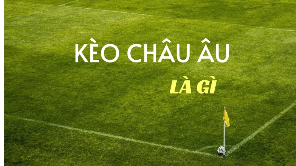 Cách Chơi Kèo Châu Âu Chuẩn Xác Và Hiệu Quả Cho Người Mới Bắt Đầu