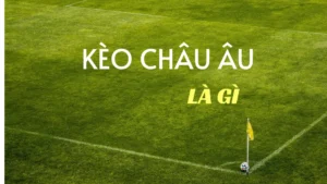 Cách Chơi Kèo Châu Âu Chuẩn Xác Và Hiệu Quả Cho Người Mới Bắt Đầu