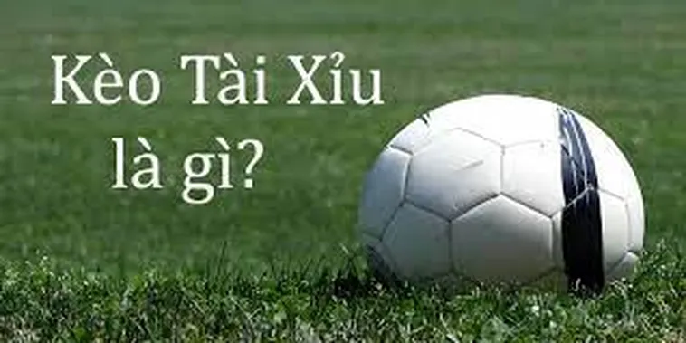 Cách Chơi Kèo Tài Xỉu Hiệu Quả Cho Người Mới Tham Gia Cá Cược Bóng Đá