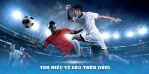 Cách Chơi Kèo Trên Kèo Dưới Hiệu Quả Cho Người Mới Bắt Đầu