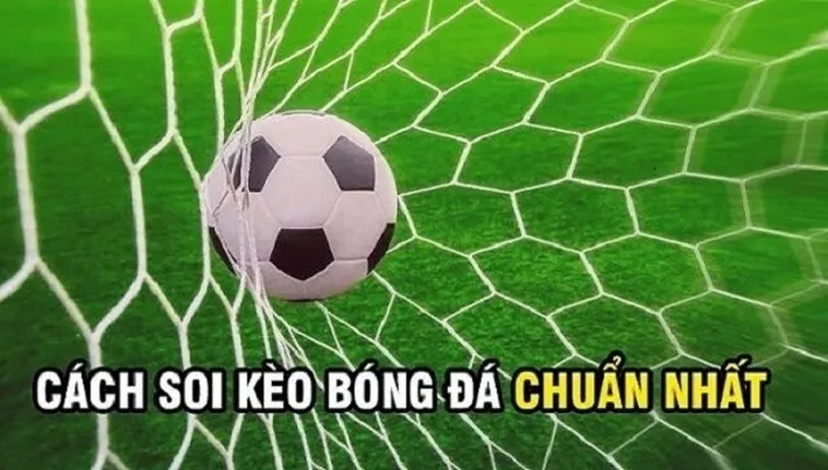 Cách Chơi Kèo Rung Trong Bóng Đá Hiệu Quả Và Chiến Thuật Thắng Lớn